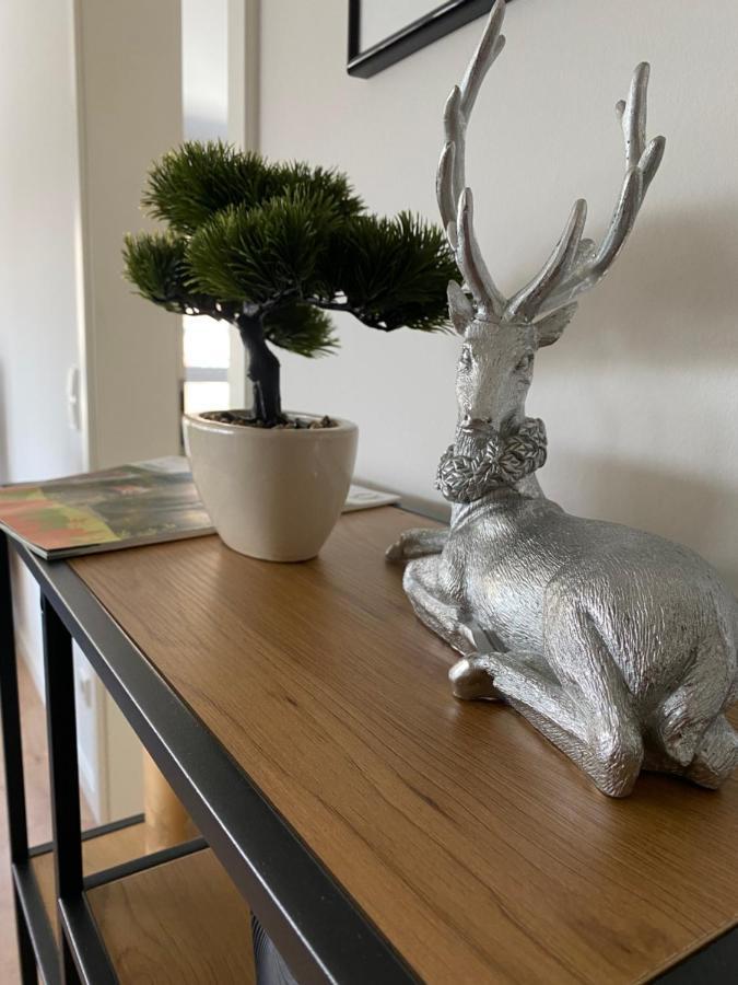 Hausbergblick Apartment *